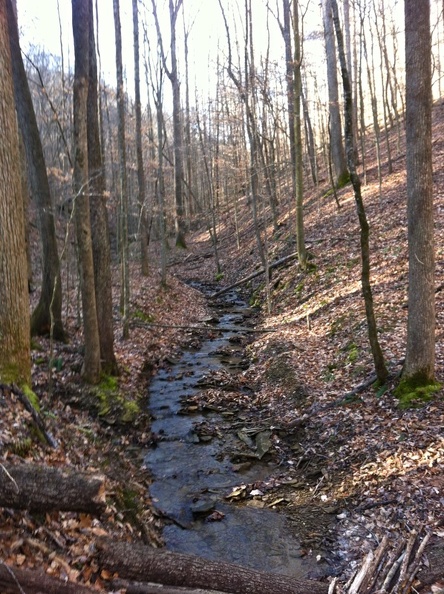 Buck Creek Trail - 2.jpg
